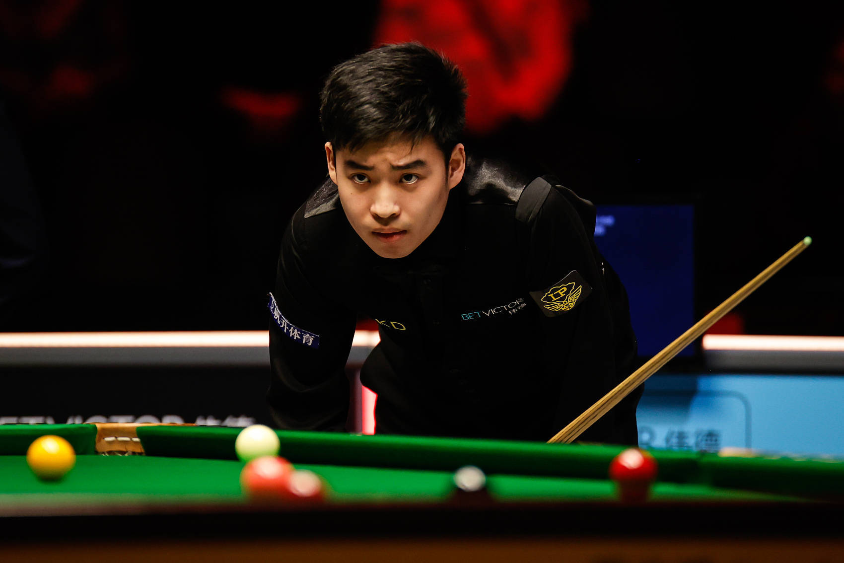 迷的广泛关 迷的广泛关